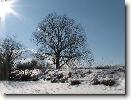 Фотография: Остальные