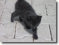 Фотография: ???????? ?????